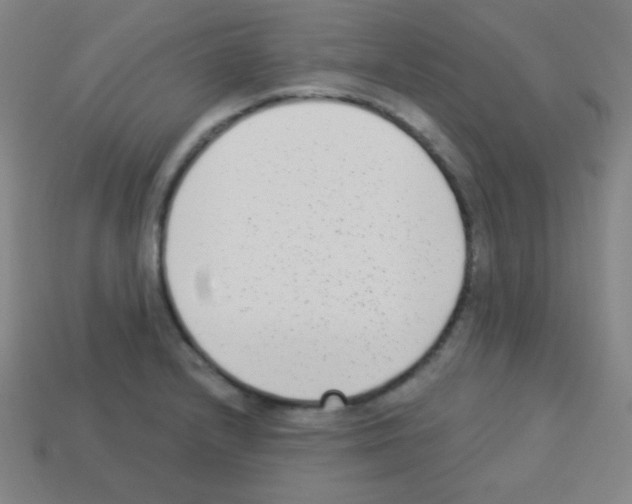 X0000113101232200910091133