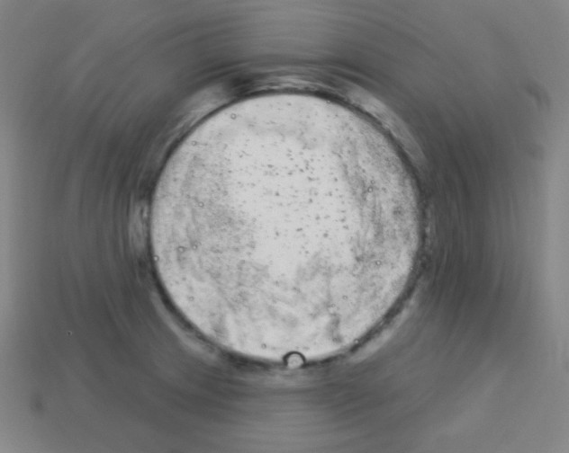 X0000113101233200910091133