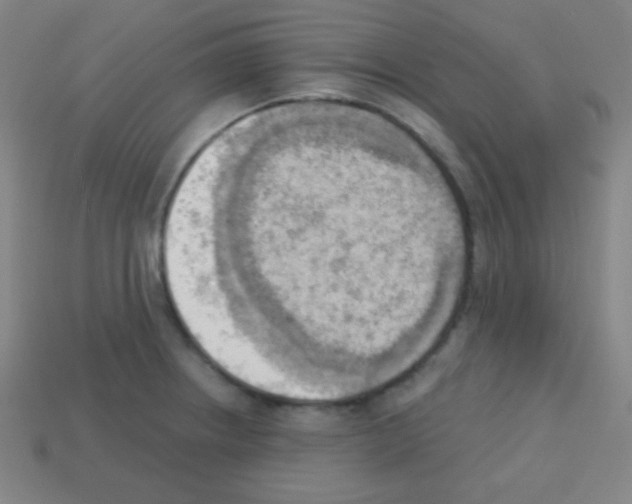 X0000113101234200910091133