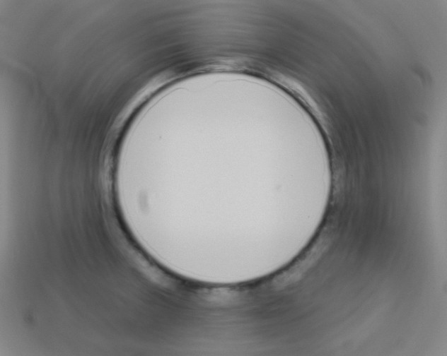 X0000113101235200910091133