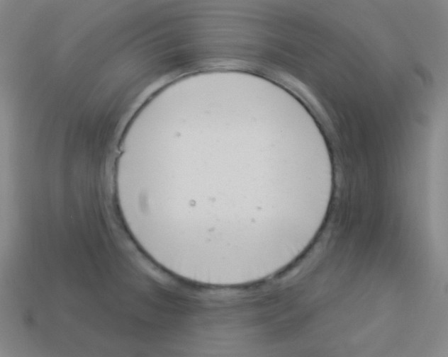 X0000113101236200910091133