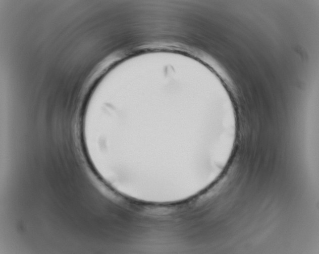 X0000113101237200910091133