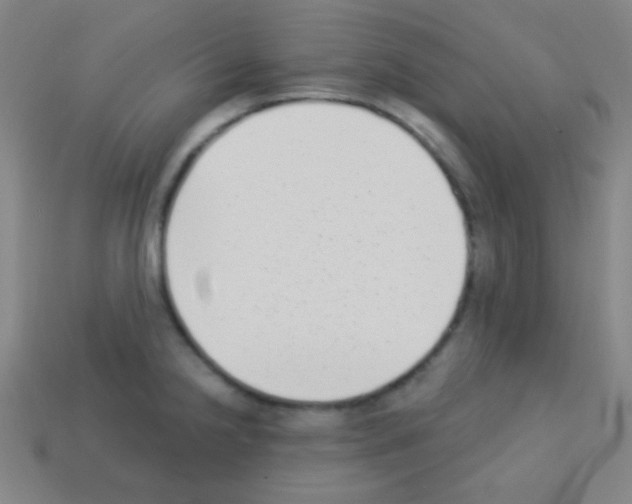 X0000113101238200910091133