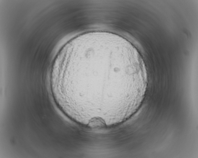 X0000113101239200910091133