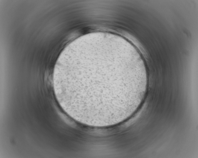 X0000113101241200910091133