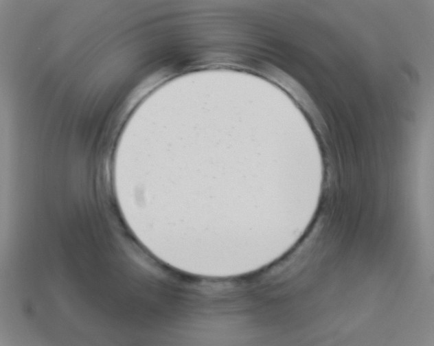 X0000113101242200910091133