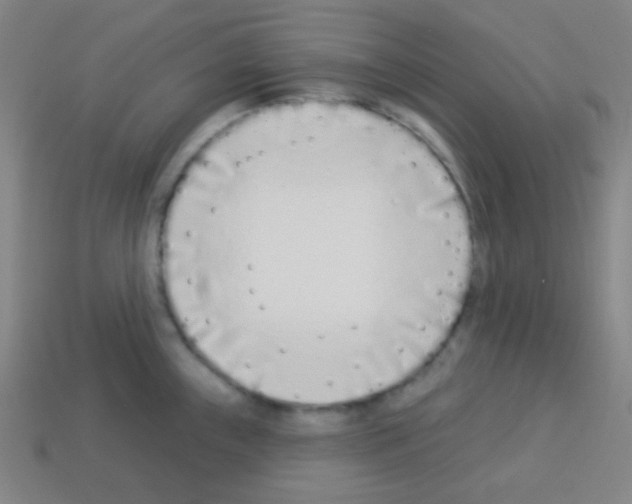 X0000113101243200910091133