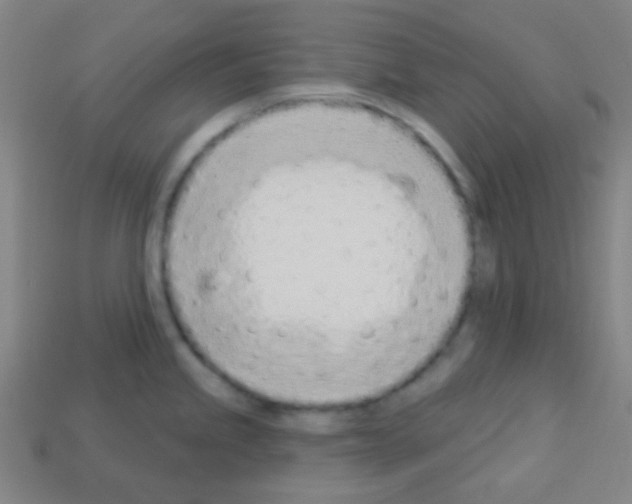 X0000113101245200910091133