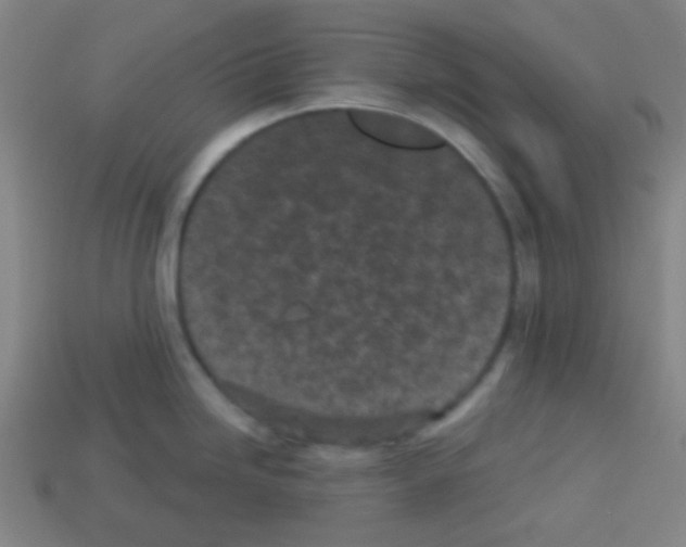 X0000113101246200910091133