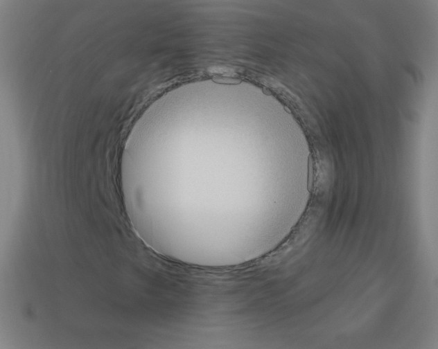 X0000113101249200910091132