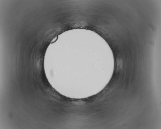 X0000113101250200910091132
