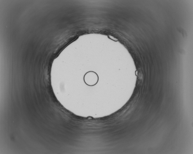 X0000113101252200910091132