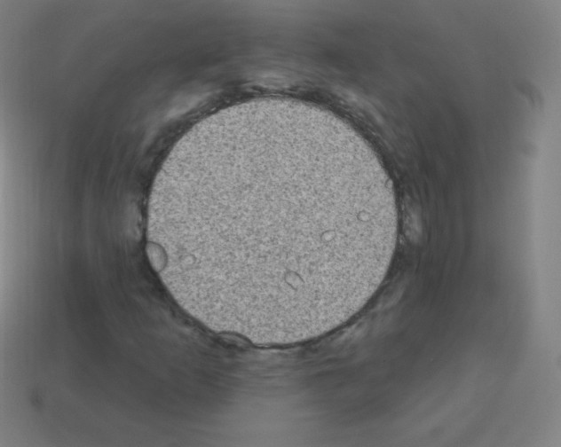 X0000113101253200910091132