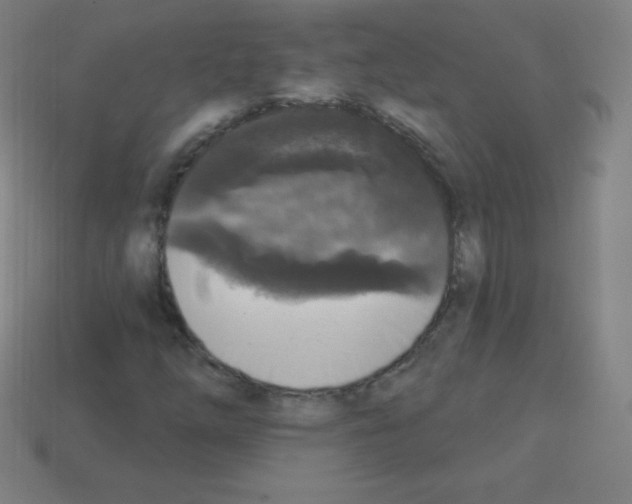 X0000113101254200910091132