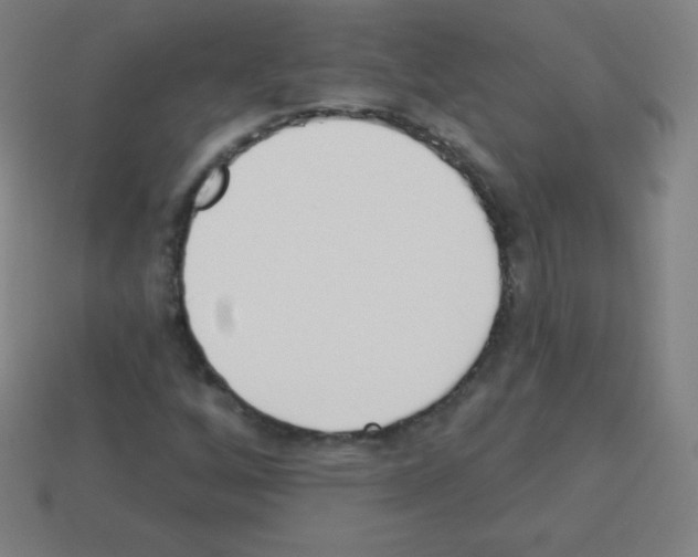 X0000113101256200910091132