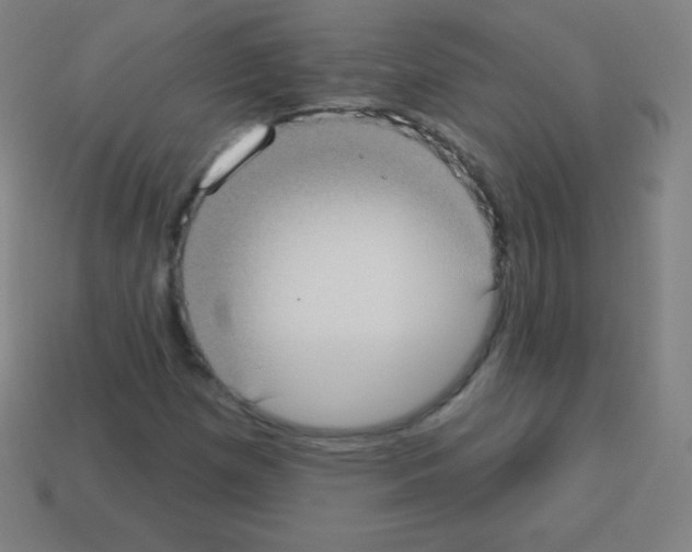 X0000113101257200910091132