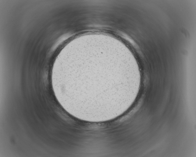 X0000113101259200910091132