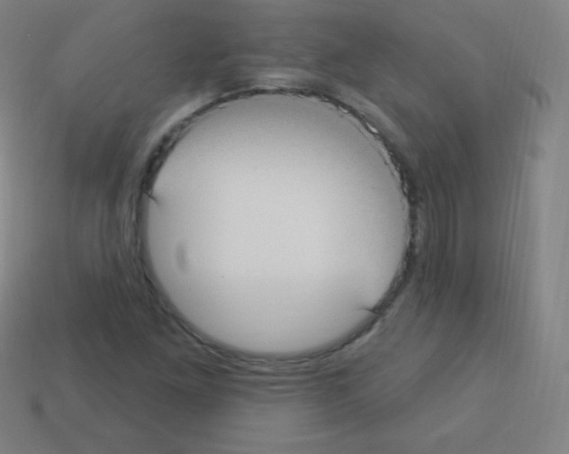 X0000113101261200910091132