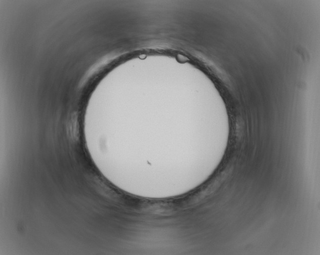 X0000113101262200910091132