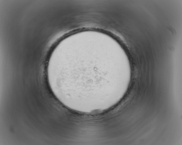 X0000113101263200910091132