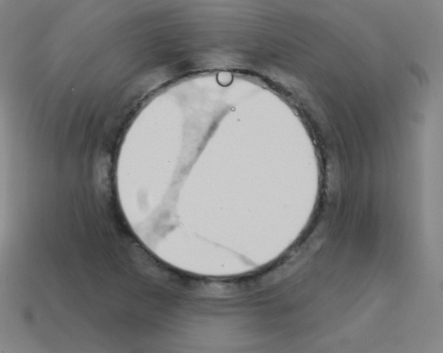 X0000113101265200910091132