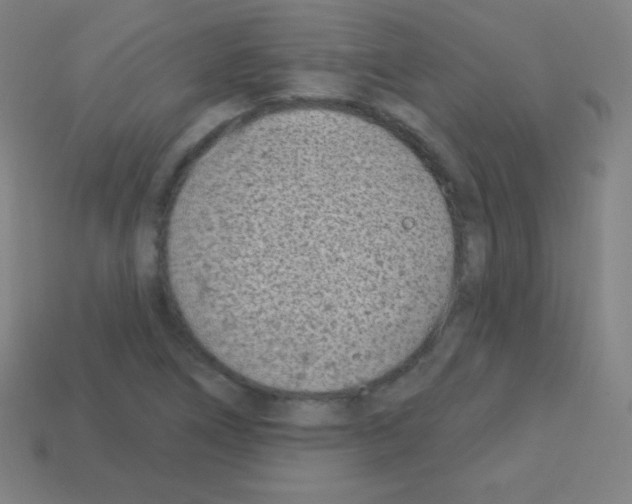 X0000113101266200910091132