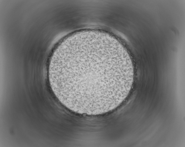 X0000113101267200910091132