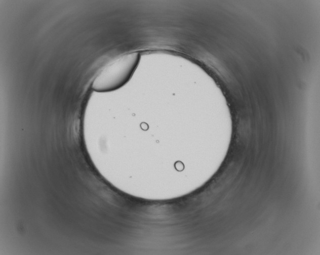 X0000113101268200910091132