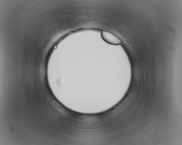 X0000113101270200910091132