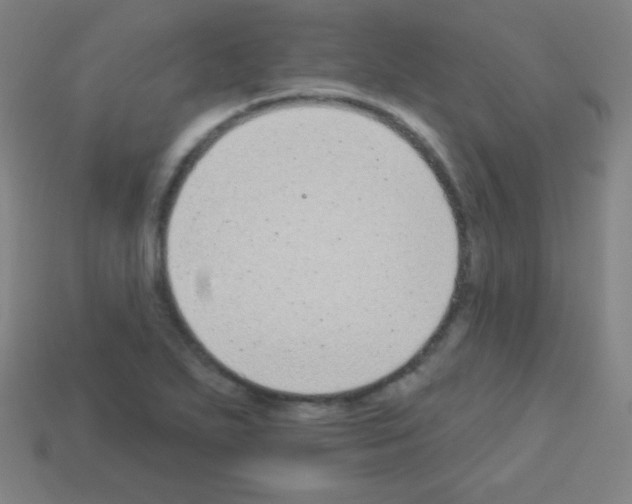 X0000113101271200910091132