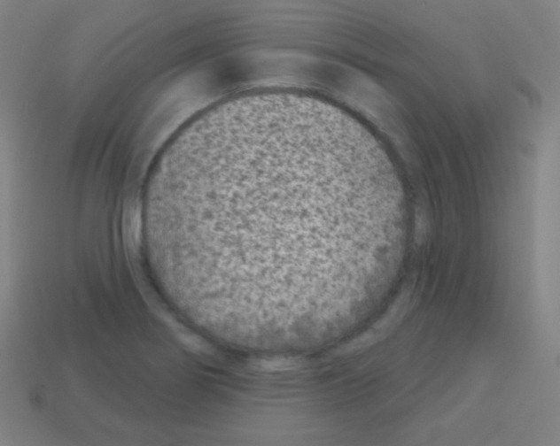 X0000113101274200910091132