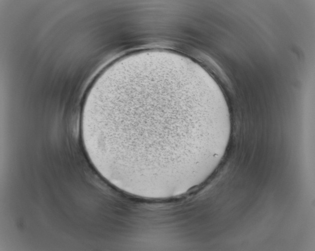 X0000113101276200910091132