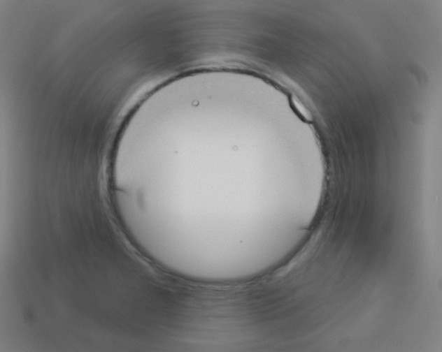 X0000113101277200910091132