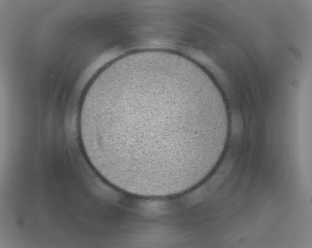 X0000113101278200910091132