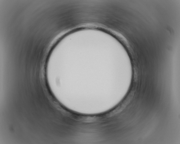 X0000113101279200910091132