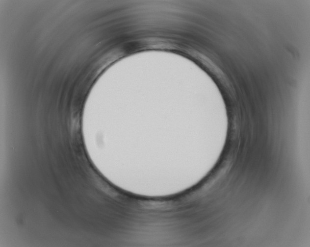 X0000113101281200910091132
