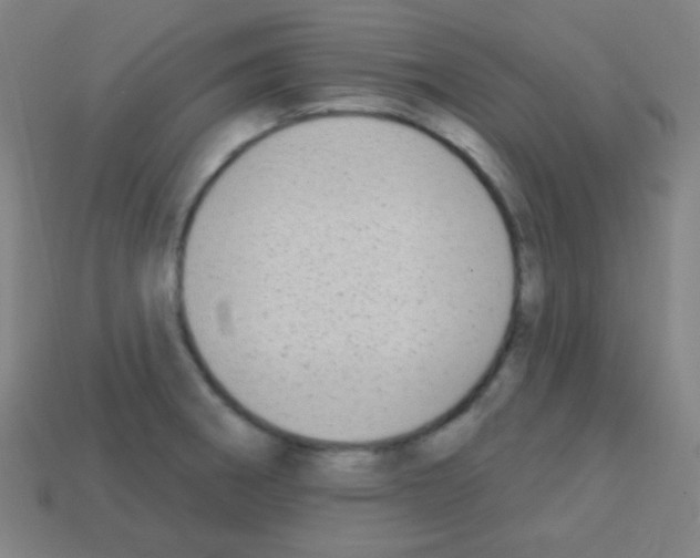 X0000113101282200910091132