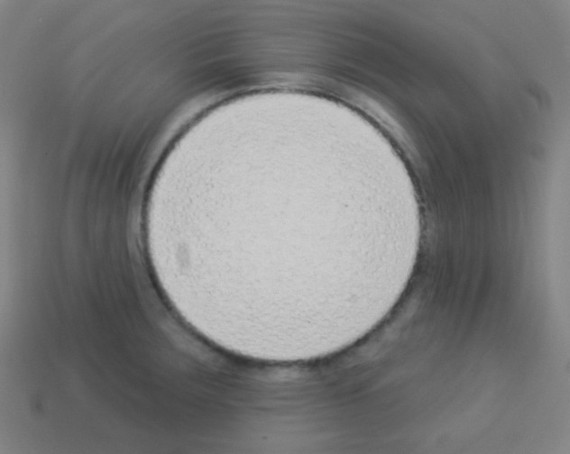 X0000113101283200910091132