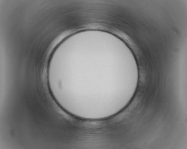 X0000113101286200910091132