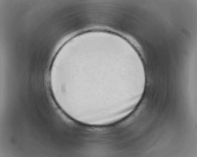 X0000113101287200910091132