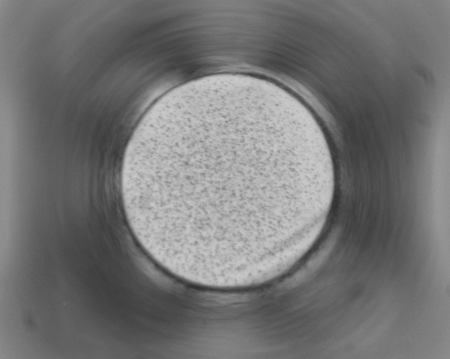 X0000113101289200910091132