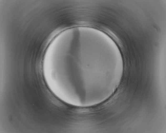 X0000113101291200910091132