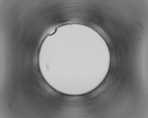 X0000113101292200910091132