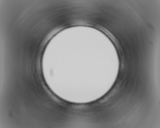 X0000113101293200910091132