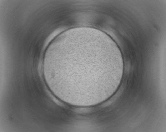 X0000113101294200910091132
