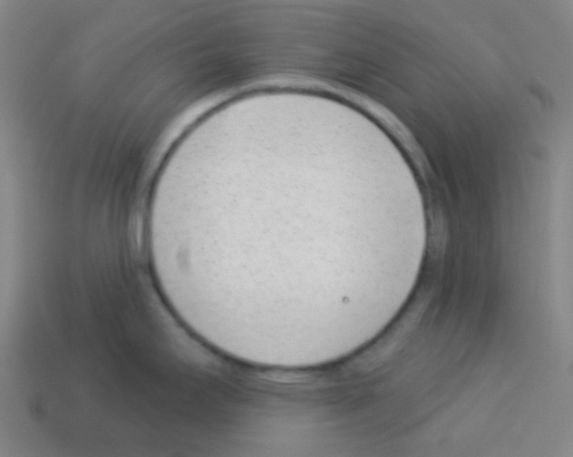 X0000113101295200910091132