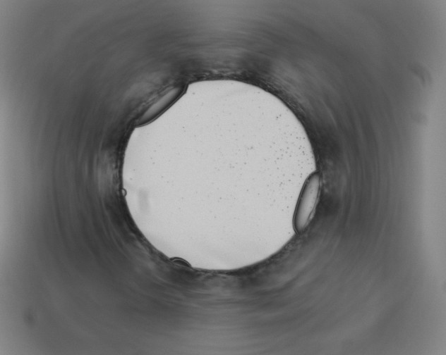 X0000113101298200910091131
