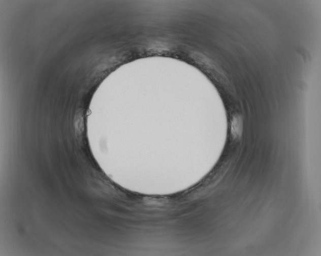 X0000113101299200910091131