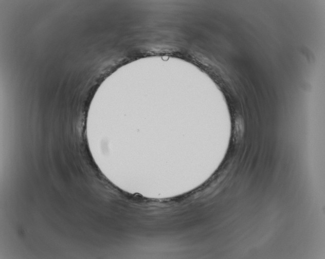 X0000113101300200910091131
