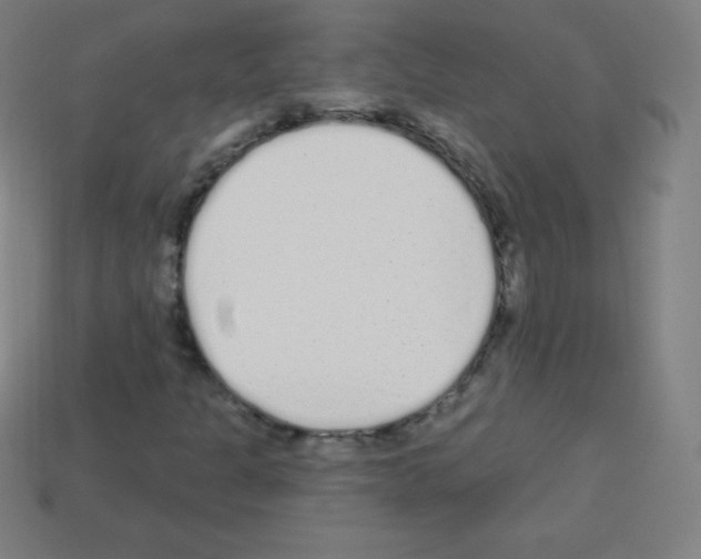 X0000113101301200910091131